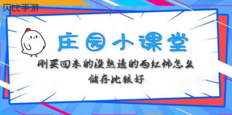 蚂蚁庄园3月31日:刚买回来的没熟透的西红柿怎么储存比较好