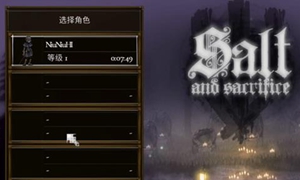 盐与献祭双人怎么联机