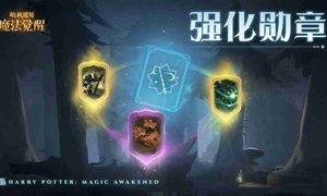哈利波特强化勋章有什么用