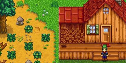 星露谷硬木怎么来得快