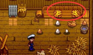 星露谷物语养动物方法