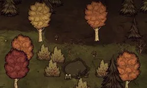 饥荒禁多枝树原因