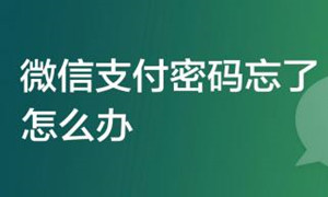 微信支付密码忘了解决办法