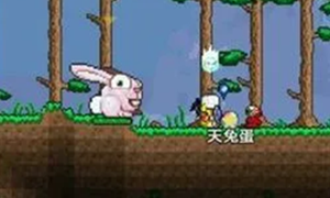 泰拉瑞亚兔子快速刷取方式
