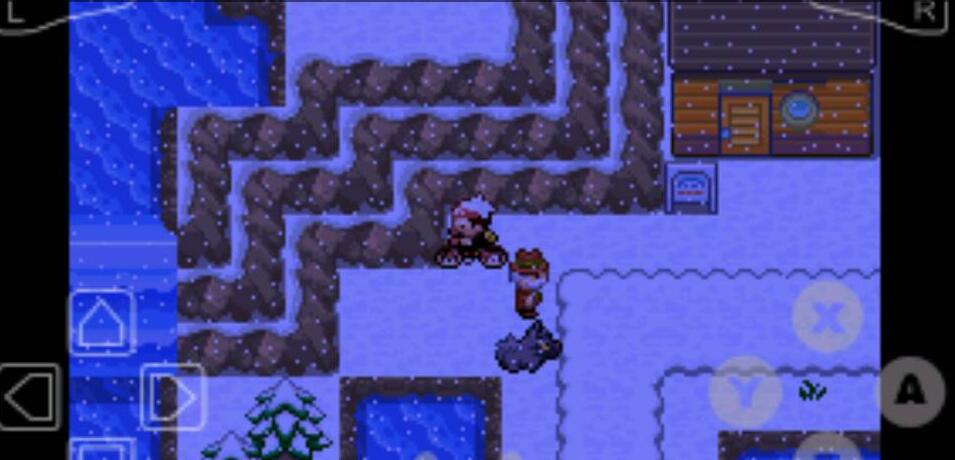 口袋妖怪漆黑的魅影冲浪术在哪学