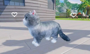 和平精英猫咪出现在大厅里的方法