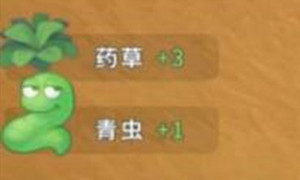 波西亚时光鱼饵获得的方法介绍