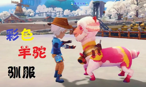 波西亚时光抓羊驼驯服方法