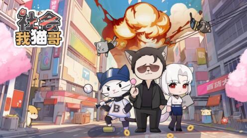 社会我猫哥价格表一览