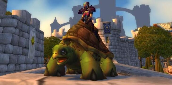 魔兽世界乌龟服什么意思